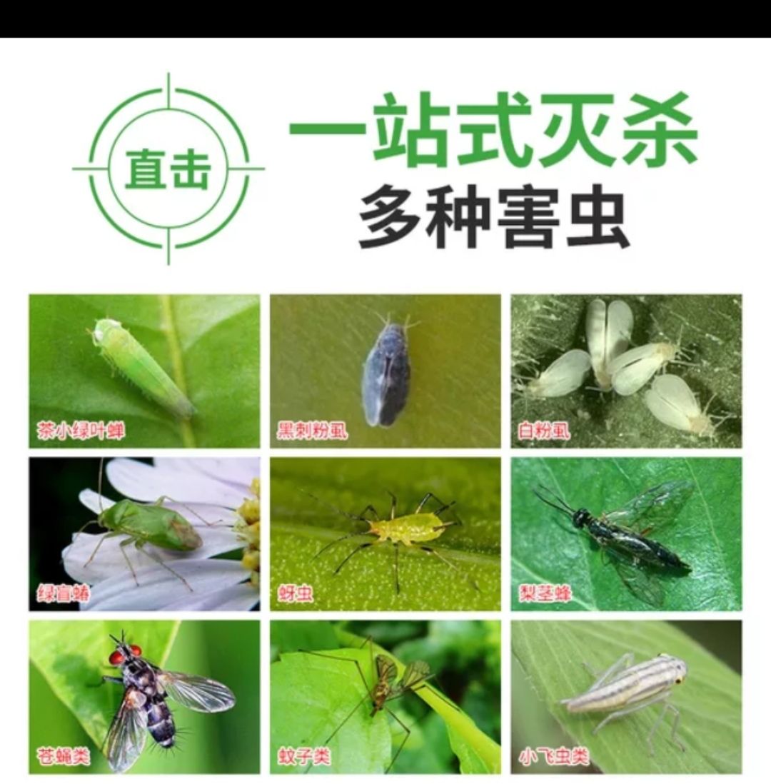 诱虫板 <包邮>买十送一双面加厚胶送绑带