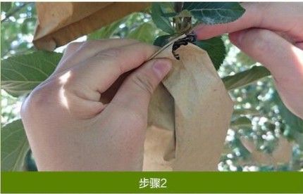 桃子套袋 18*15外黃內(nèi)黑單層水果紙袋 蘋果 葡萄 石榴 水蜜桃等