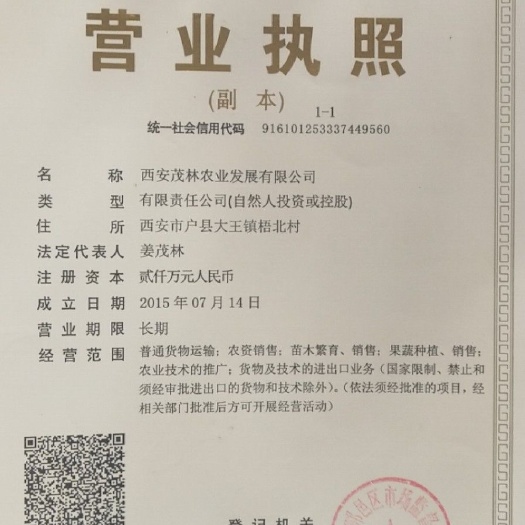 白雪公主草莓苗 西安茂林农业发展有限公司是全国最大的草莓育苗企业。