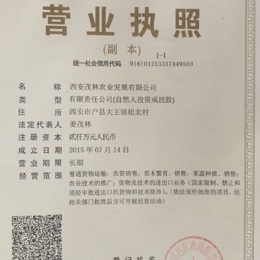 西安白雪公主草莓苗 西安茂林农业发展有限公司是全国最大的草莓育苗企业。