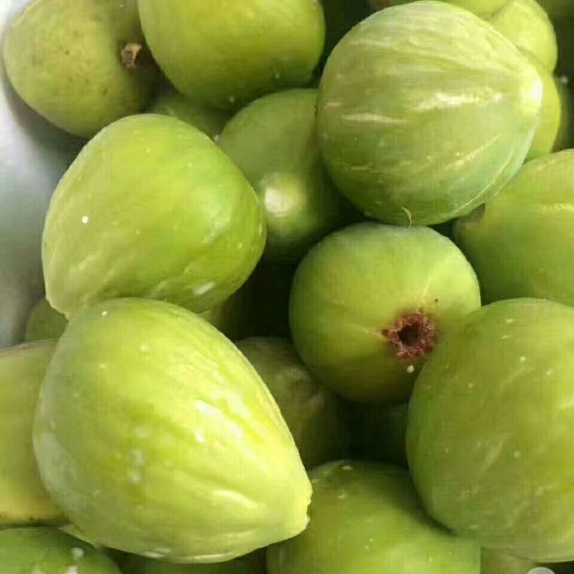 威海无花果干FD冻干 冻干无花果，瞬间锁住水分，保留了营养成分，酥，脆，甜，批发零