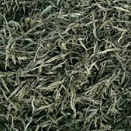广南县日照绿茶 毛峰   品质好 茶农直销