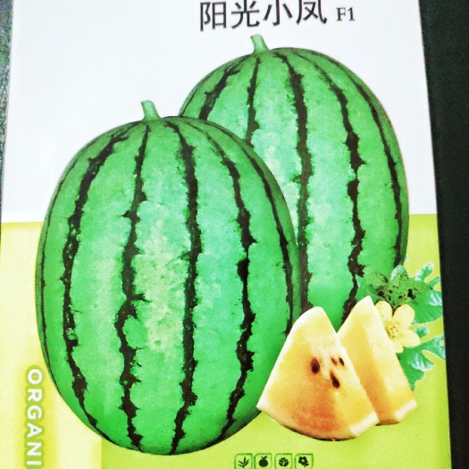 黄瓤西瓜种子绿皮黄肉西瓜品种阳光小凤
