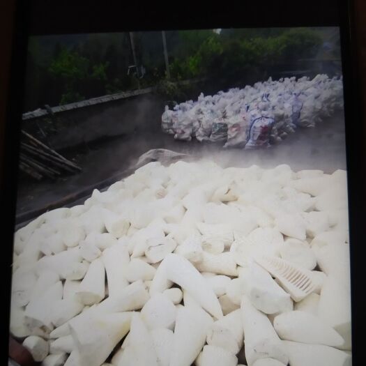 宜賓 楠竹筍