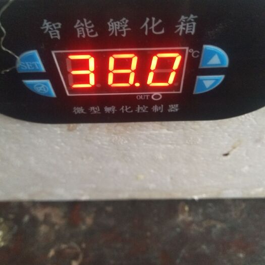 滕州市养殖孵化机 孵化器，水床孵化器，家庭孵化器，可孵鸡鸭鹅鸽子各种蛋类。