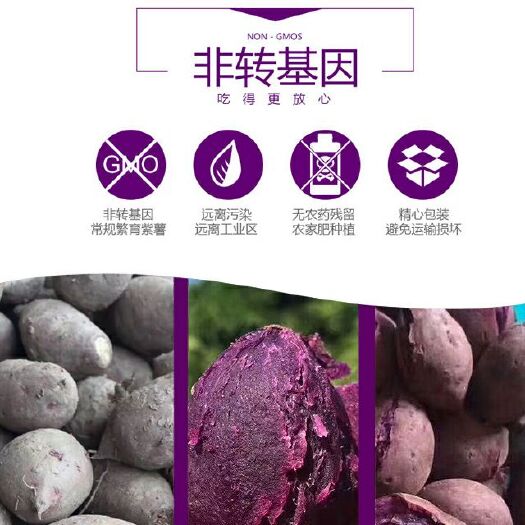 昆明 [越南小紫薯]迷你小紫薯，小蕃薯地瓜新鲜疏菜，紫薯。