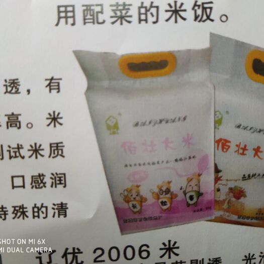 东港市东北大米 一等品 晚稻 粳米