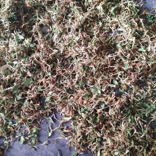 旺苍县 天然野生金银花毛花干统货，有现货300公斤，需要的请联系我