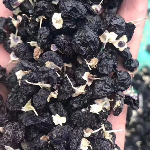 格尔木市 青海柴达木精品黑枸杞大果！