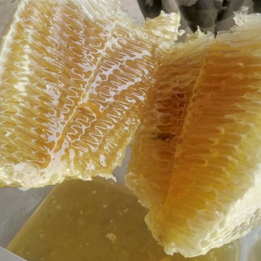 景洪市野生蜂蜜 纯野生挂蜜
大自然的恩赐
勤劳的使者