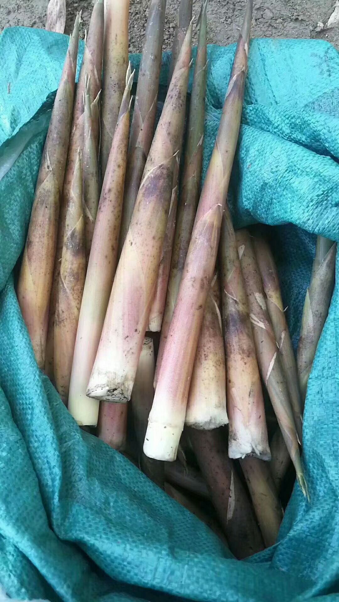 小笋干 野生采摘，天然日晒，餐桌上的美味，你值得拥有。