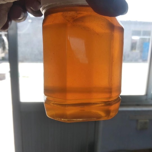 日照稼盛生态农业基地自留蓝莓蜂蜜