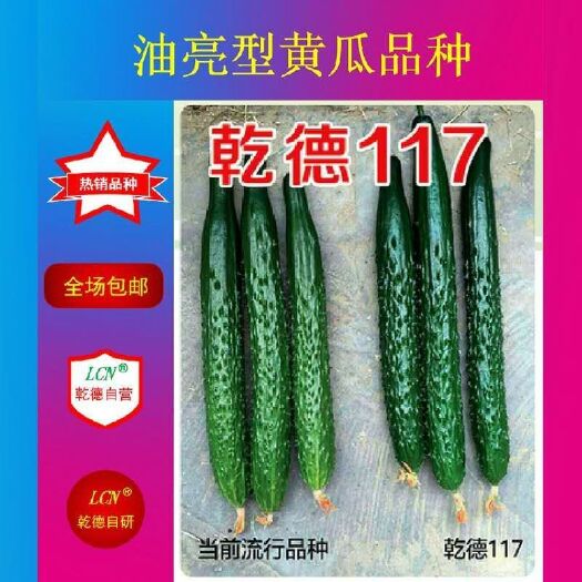 上海乾徳117油亮密刺黄瓜种子耐热抗病毒