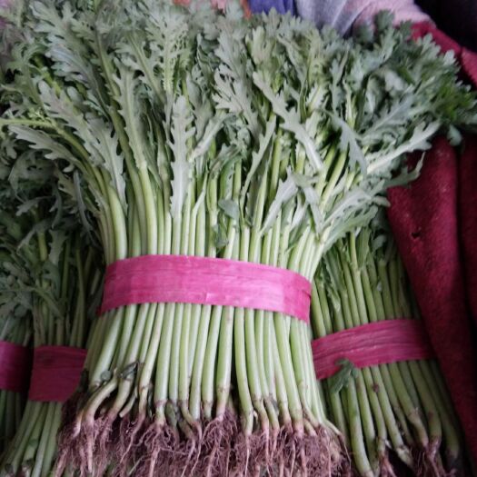 邯郸光杆茼蒿 城信经营，客户之上