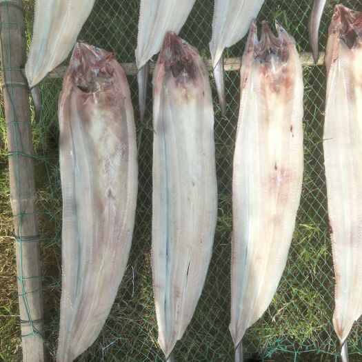 象山县鳗鱼干 东海 鳗鱼 风干