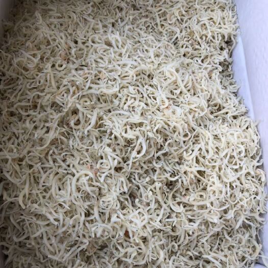 连云港银鱼干 刚上市的新鲜银鱼，营养丰富