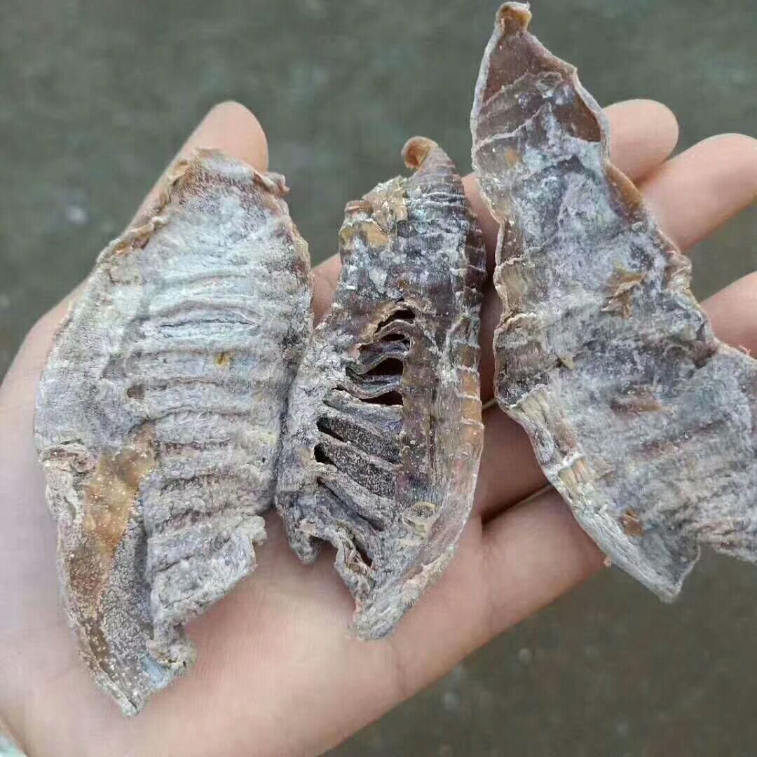 小笋干 野生采摘，天然日晒，餐桌上的美味，你值得拥有。