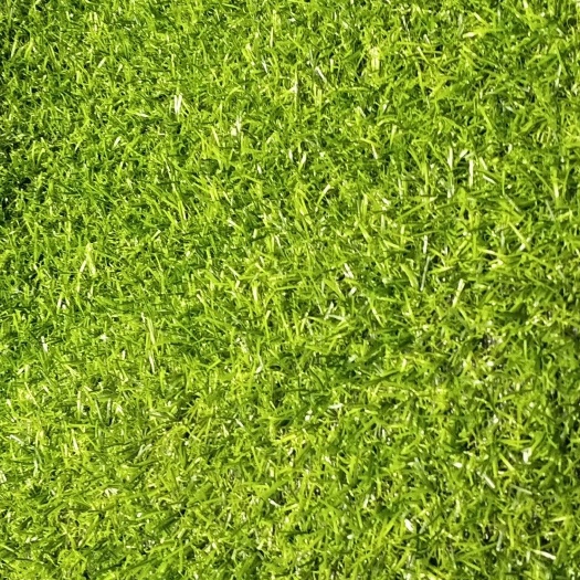 成都 各种草坪规格齐全