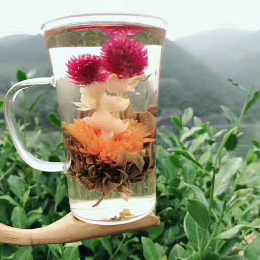 安溪县茶花茶 双龙戏珠