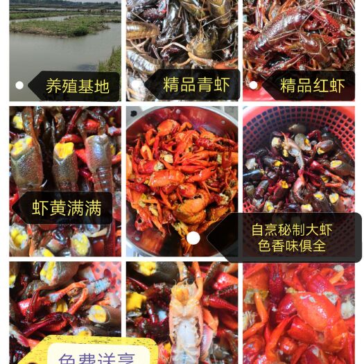 潢川县 清水小龙虾