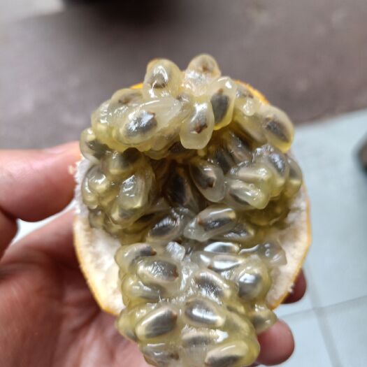 梁河县哥伦比亚百香果苗 哥伦比亚热情果种子