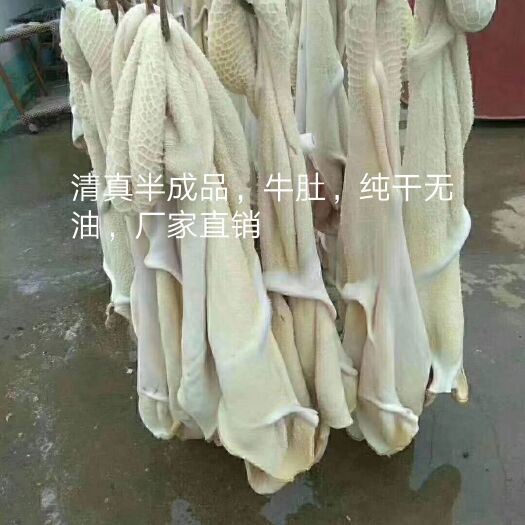 阳信县毛肚 出售全熟牛头肉，牛肚，牛头皮，牛肉粒，羊脸皮，质量好，价格低