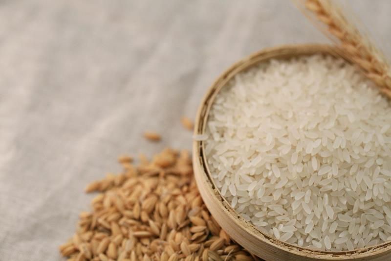  多种品种稻谷，糙米，大米，自有工厂和基地