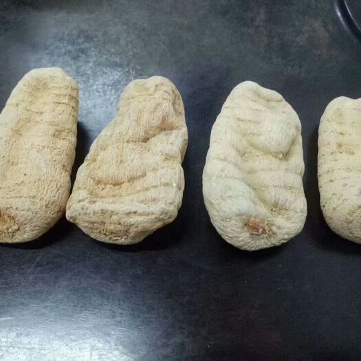 彝良县 昭通小草垻天麻