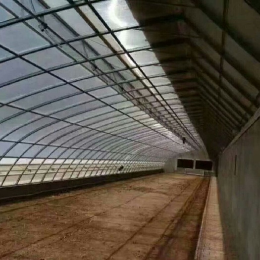 天津蔬菜大棚 温室大棚