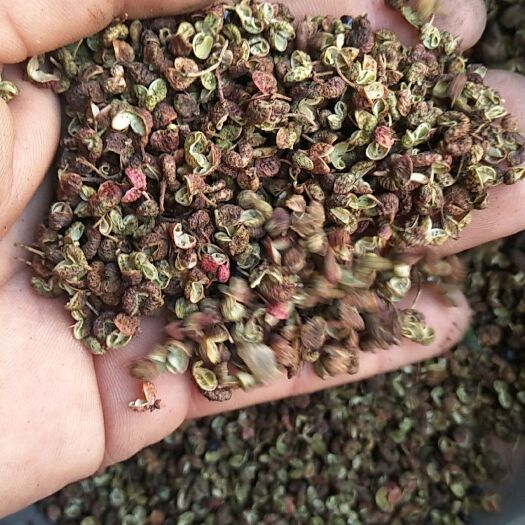 枣庄青花椒 山东大青稞