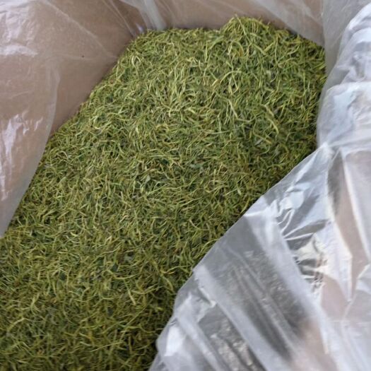 隆回县高产金银花苗，干花。