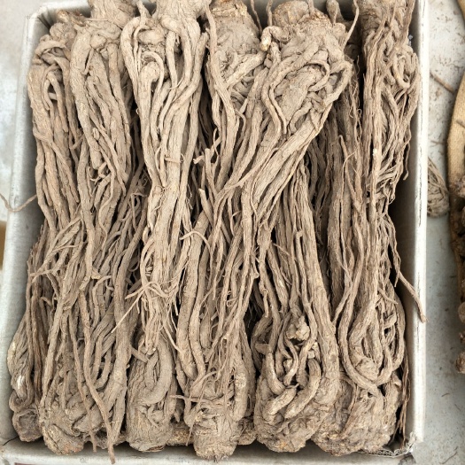 岷县 岷县当归甲天下！