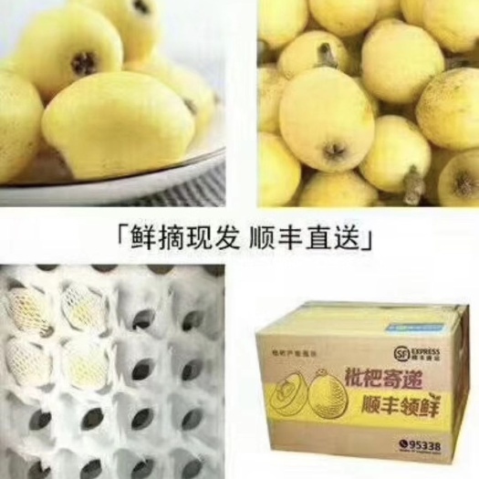 象山县 海岛枇杷#象山海岛白沙枇杷#
入口即化，甘甜可口，个大肤白貌