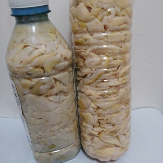 尋烏縣苦筍 鮮筍