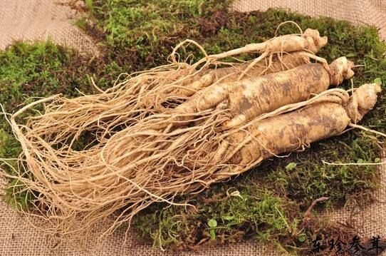 威海种植参 鲜参，大，表面光滑。。。