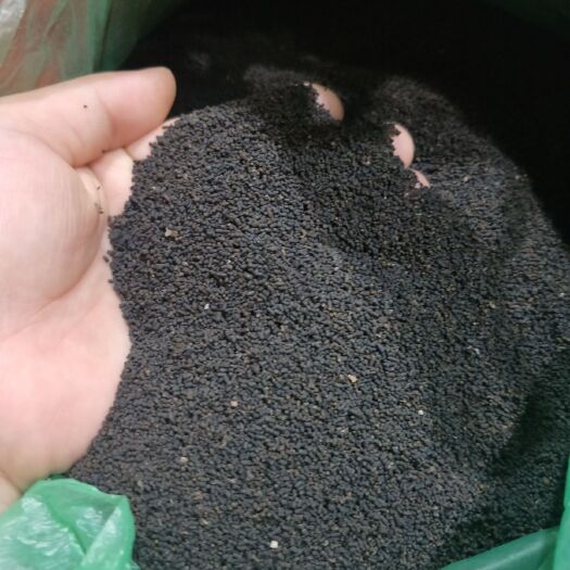 金秀县虫茶 10年虫屎茶
