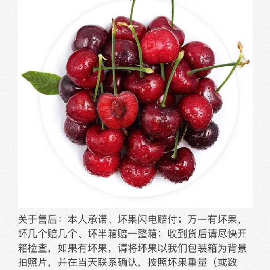 成都智利车厘子 实物图💕
都是屋头自己种的，信誉第一
  口味好