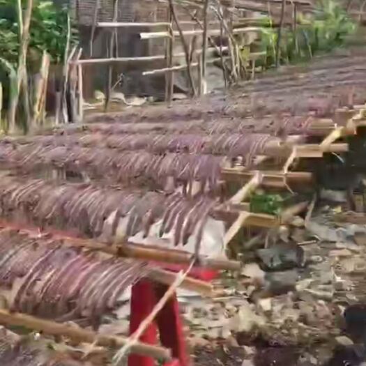 南漳县地龙 干蚯蚓 供应干货蚯蚓，湖北襄阳地区