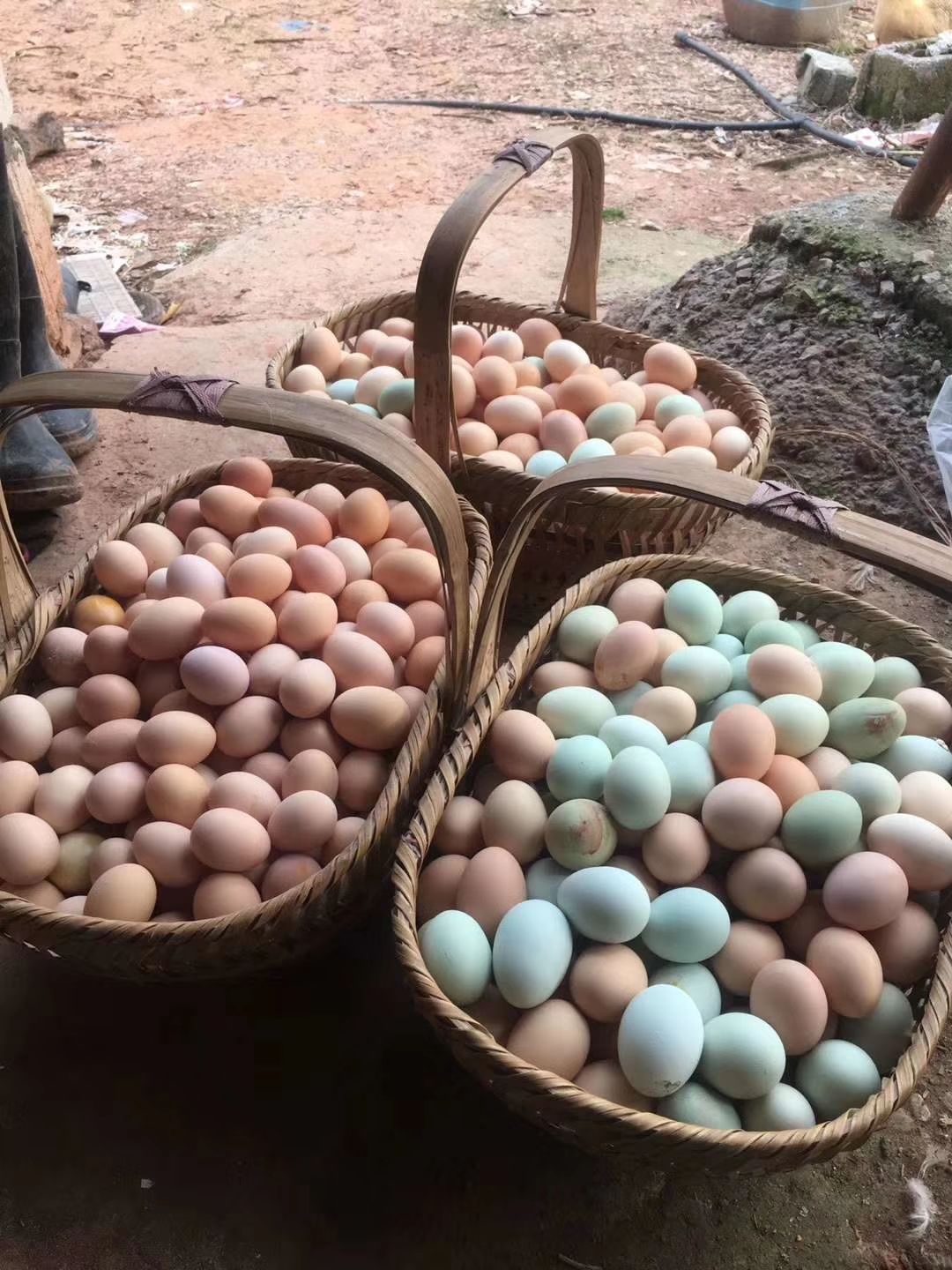 芜湖安徽土鸡蛋，精品土鸡蛋
全国发货