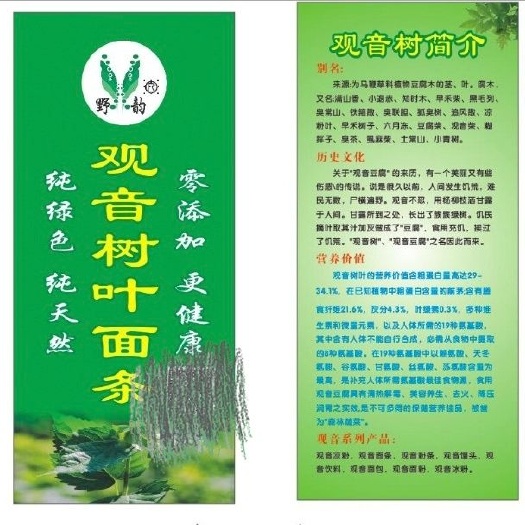 绵阳 观音树叶养生面条