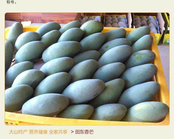  百色田东香芒桂七芒