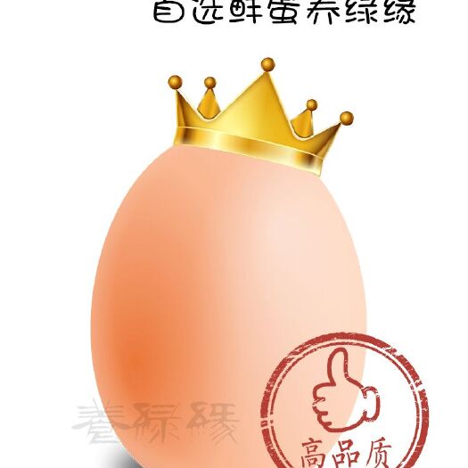 武汉 养绿缘低醇土鸡蛋