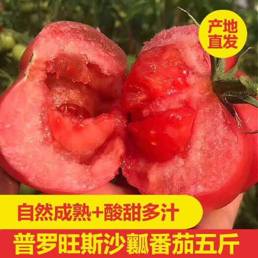 农家普罗旺斯水果西红柿 5斤包邮 基地直销生吃番茄现摘现发