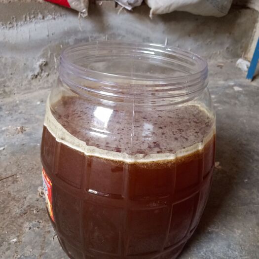 师宗县土蜂蜜 塑料瓶装  2年以上 