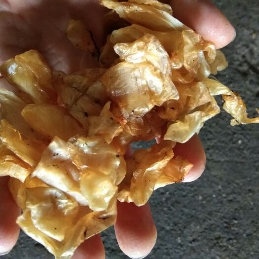 益阳 腊鱼泡