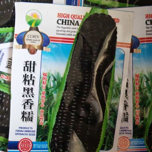 内黄县 各种玉米种子