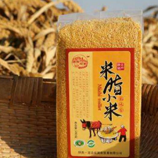 米脂县 陕北米脂小米