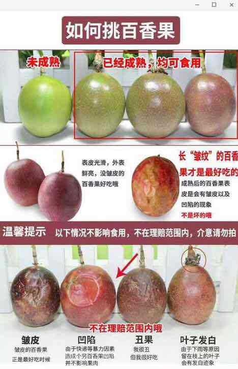  百香果西番莲鸡蛋果爱情果高山果现摘现发包邮
