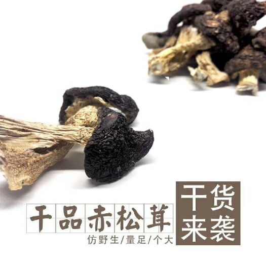 麻江县赤松茸 干货 7cm-9cm 半开伞 人工种植