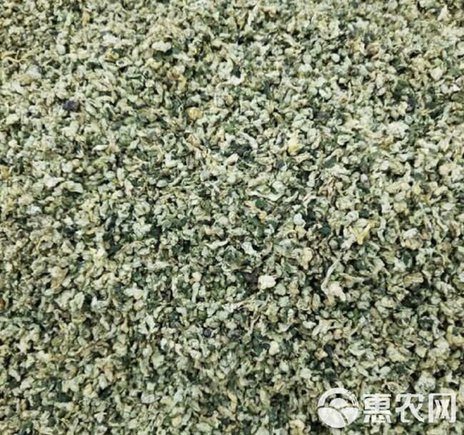 荷叶茶 中草药零售 规格齐全 价格优惠